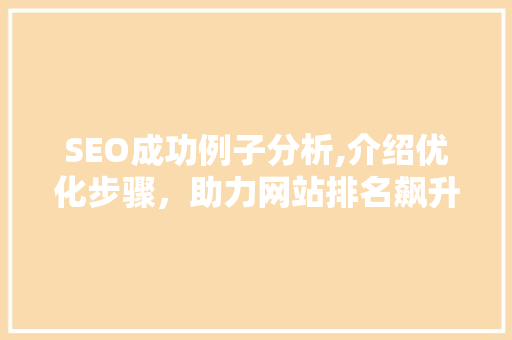 SEO成功例子分析,介绍优化步骤，助力网站排名飙升